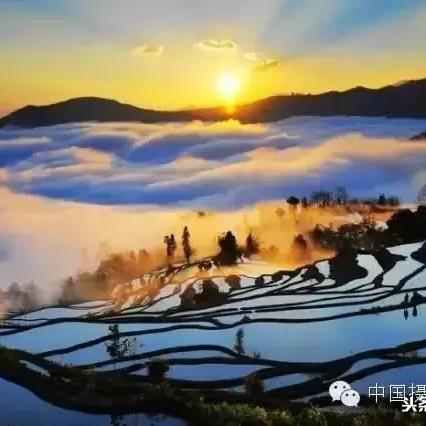 (逆光者的含义)在逆光者眼中，我看见了如梦如幻的人生演绎